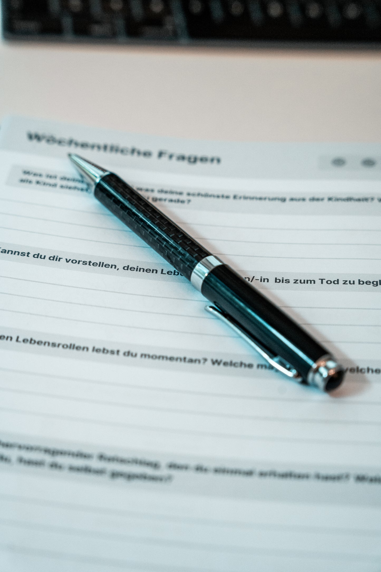 THE NETWORKER Carbon Kugelschreiber